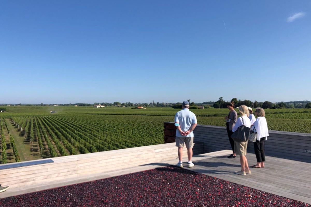 Vineyard 3 x 2